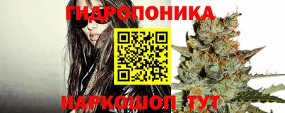 крисы Рыбинск