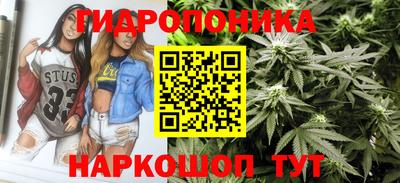 крисы Рыбинск