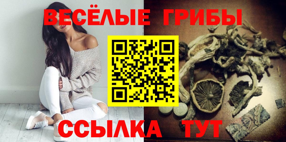 Псилоцибиновые грибы Psilocybine cubensis Самара